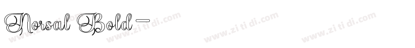 Norsal Bold字体转换